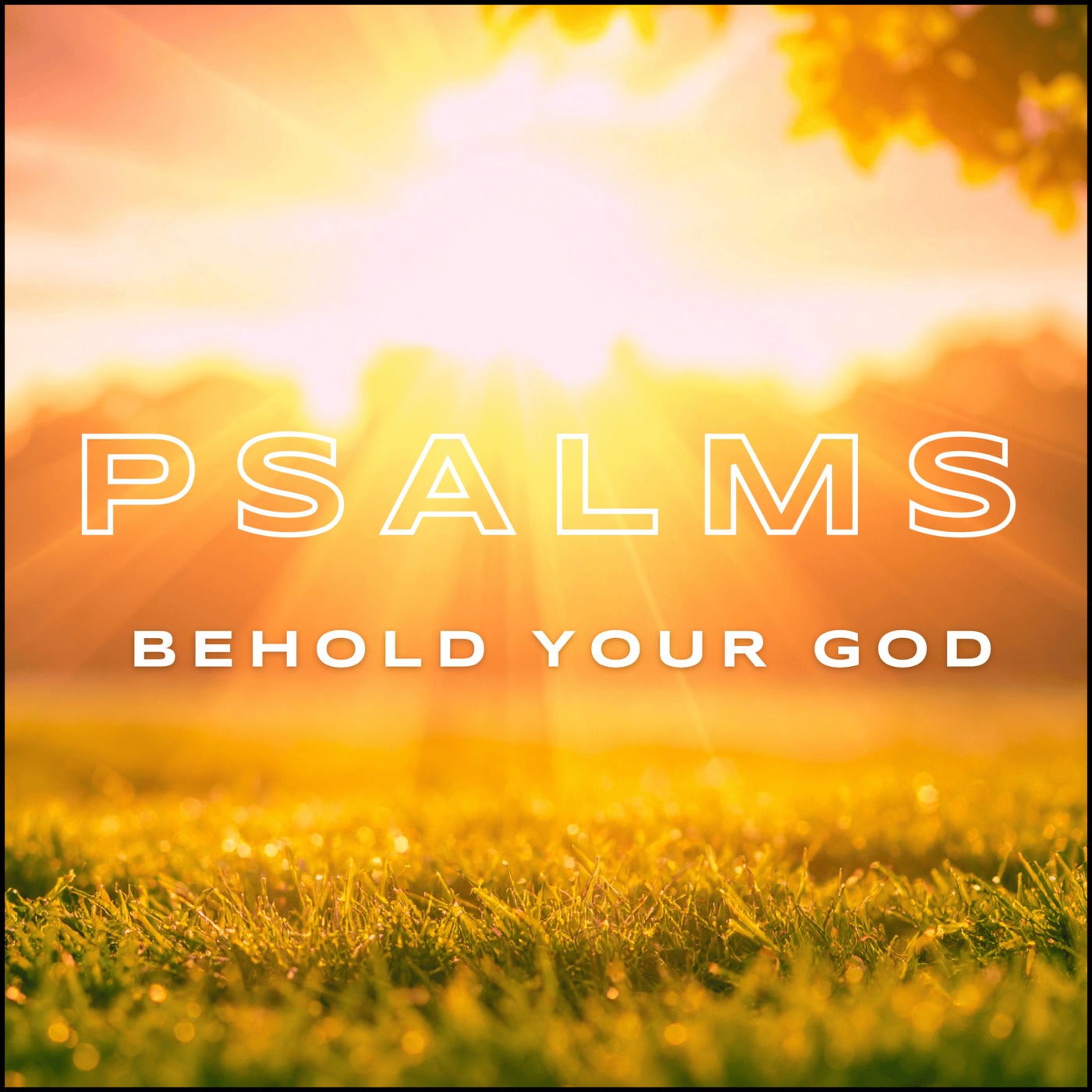 Behold Your God (1): Psalm 8:1-9 episode artwork